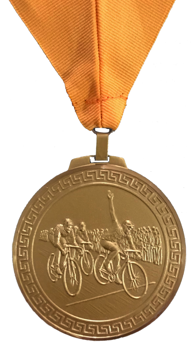 Volleyball Medal Award, School Team Sports, 2, full color, w/ engraving,  ribbon